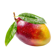 Mangue Exotique